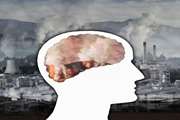 Investment in creating clean air leads to the improvement of the physical and mental health of a community. 